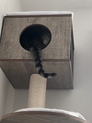 The One after the One where the Excellent Cats posed for a calendar