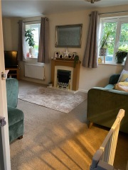 Rug for living room
