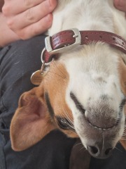 Was anyone else at Snape Maltings today? Did Alan get his table?