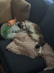 Come and tell us your dull and unexciting news 34: Calmly through the day