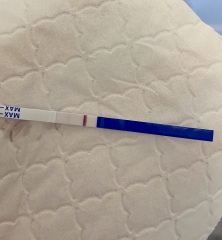 Help! Am I pregnant?! Getting mix of positive and negative tests