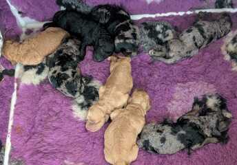 What are you up to today if you have chronic illness?