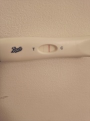 12 days post FET test