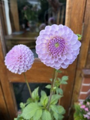 Year round Nigel Slater discussion thread Part 2