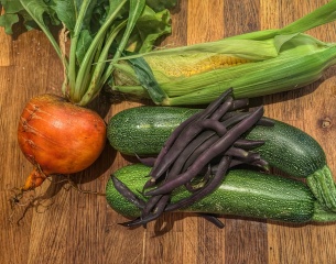 The Vegetable Patch 2024/2025