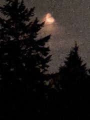 Come and tell us your dull and unexciting news 34: Calmly through the day