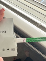 8 DPO- positive of indents