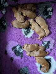 What are you up to today if you have chronic illness?