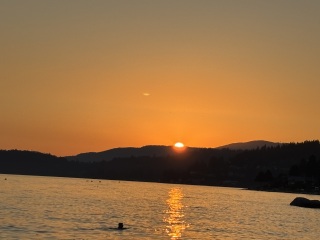 Daily Project round 7