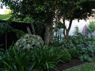 Green paint for fence around small garden