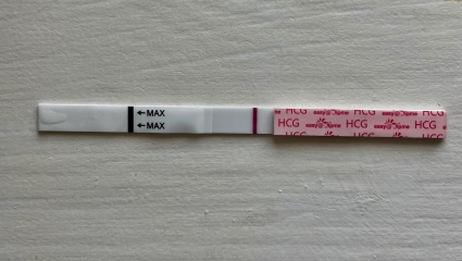 August TTC thread ❤️