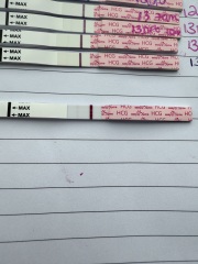 August TTC thread ❤️