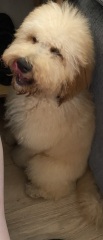 Show me you groom-day pics!