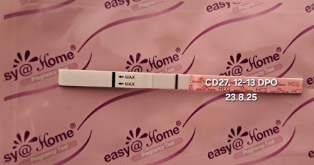 TTC TWW August/September 2025