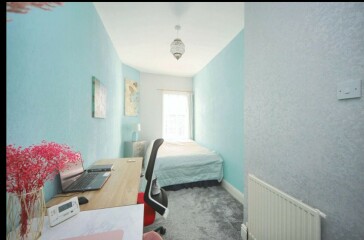 Internal doors replacement/ideas