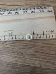 Stupid question orthodontic elastic bands