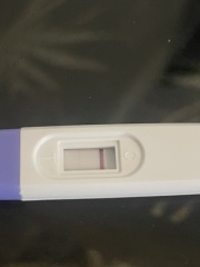 Pregnancy test
