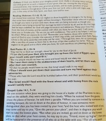 Sharing Sunday services