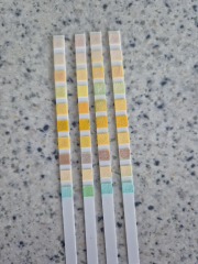 Urine testers