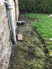 How best to tidy up this area of garden