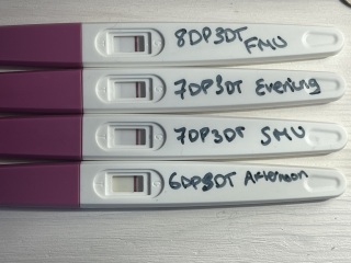 7 days past 3 day transfer IVF