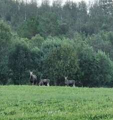 Year round Nigel Slater discussion thread Part 2