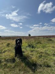 Our Cosmic Autumn Rebellion (Adolescent Support Group)