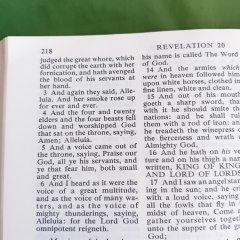 The Rapture?