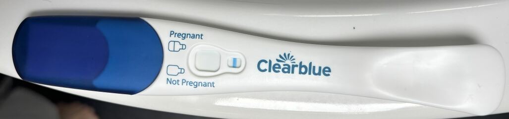 BPF + BFP (10 DPO)