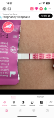 Pregnany or Evap?