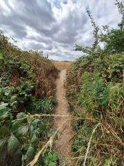 Year round Nigel Slater discussion thread Part 2