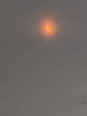 Come and tell us your dull and unexciting news 34: Calmly through the day