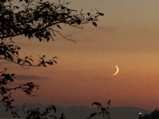 Daily Project round 7