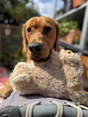 Our Cosmic Autumn Rebellion (Adolescent Support Group)