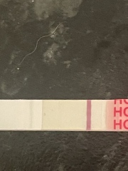 Do i have line eyes please?