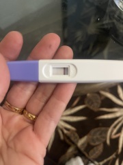 Pregnancy test