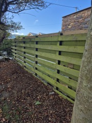 Neighbour painted our fence