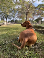 Our Cosmic Autumn Rebellion (Adolescent Support Group)