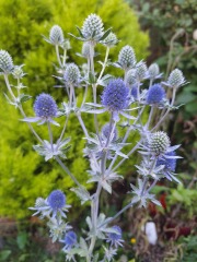 Year round Nigel Slater discussion thread Part 2