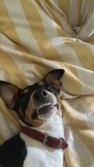 Was anyone else at Snape Maltings today? Did Alan get his table?