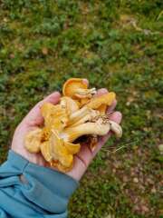 Year round Nigel Slater discussion thread Part 2