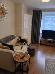 Any groups/forums for Interior Design ideas?