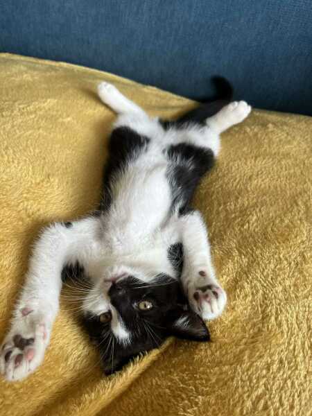 What are you up to today if you have chronic illness part 2?