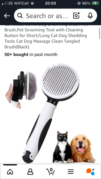 Air filters and other solutions for cat allergy