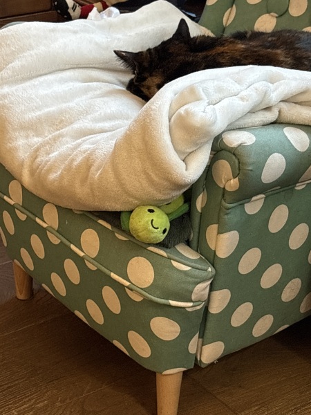 Woolly Hugs. Desperately sad news we are afraid. Making a Blanket for lovely Swashbuckled whose son has tragically died.