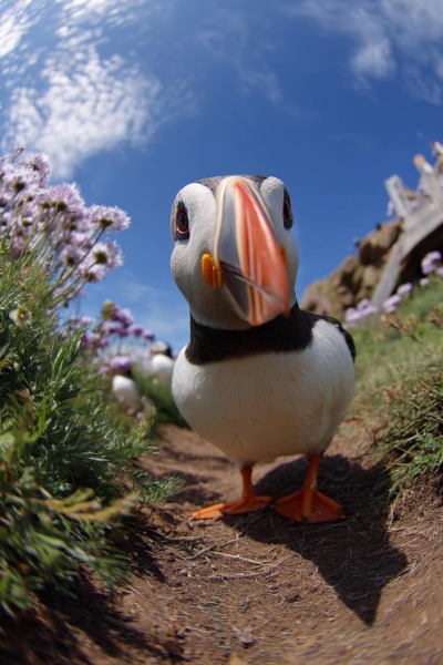 The Bluestocking - the one where the nights start to draw in