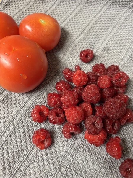 Come and tell us your dull and unexciting news 34: Calmly through the day