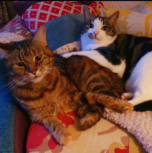 Photoshop Skills Needed Please!