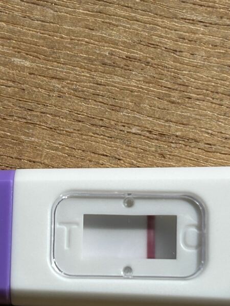 TTC TWW August/September 2025