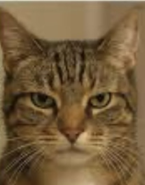 Labour isn't working - Thread 7